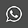 WhatsApp Icon