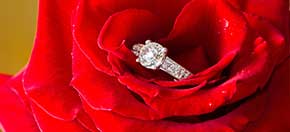 brillantring-in-rose